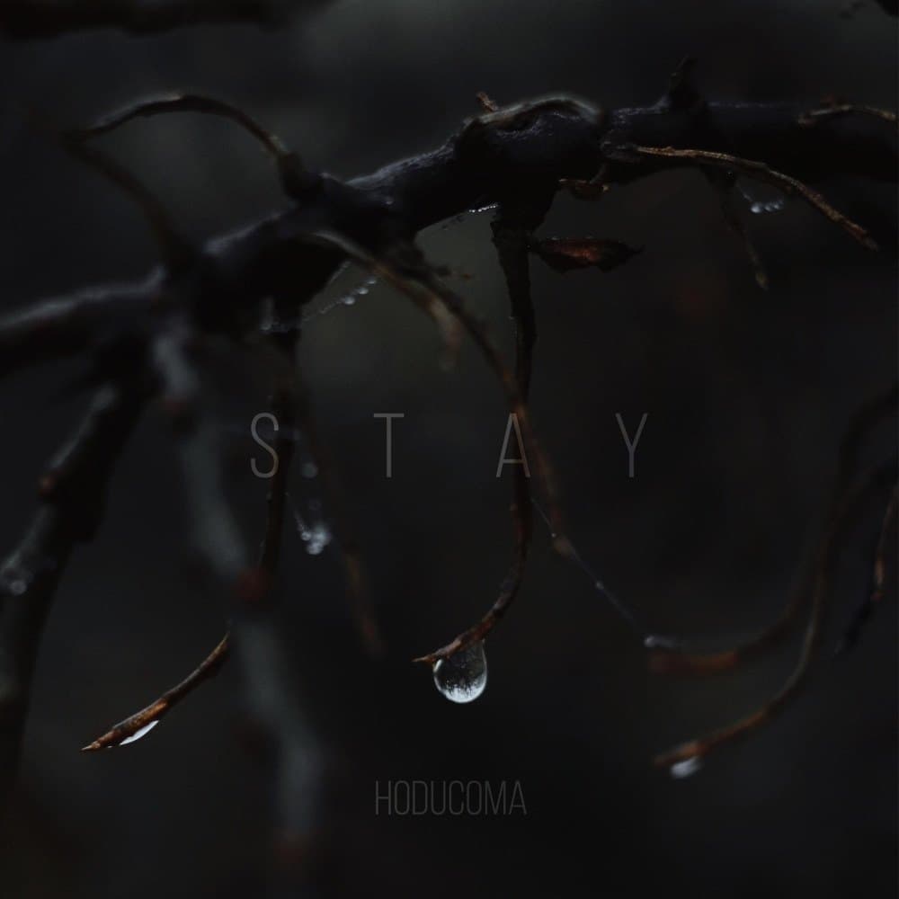 Stay